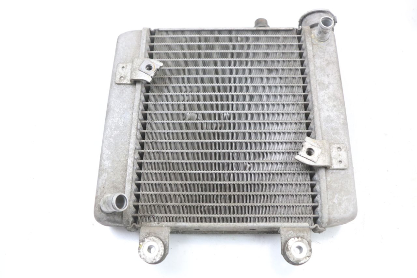 photo de RADIATOR HONDA FES S-WING SWING ABS 125 (2007 - 2015)