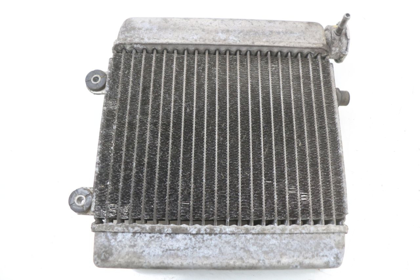 photo de RADIATOR HONDA FES S-WING SWING ABS 125 (2007 - 2015)