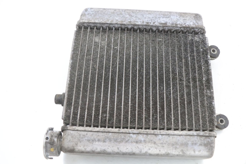 photo de RADIATOR HONDA FES S-WING SWING ABS 125 (2007 - 2015)