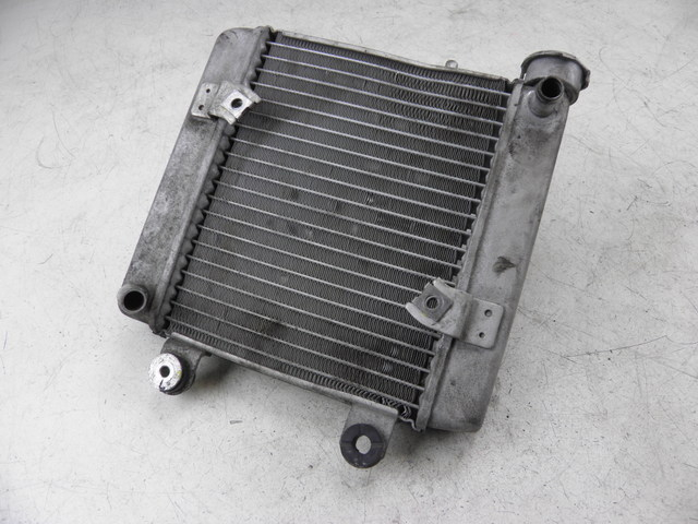 photo de RADIATOR HONDA FES S-WING SWING ABS 125 (2007 - 2015)