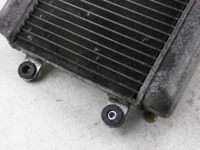 photo de RADIATOR HONDA FES S-WING SWING ABS 125 (2007 - 2015)