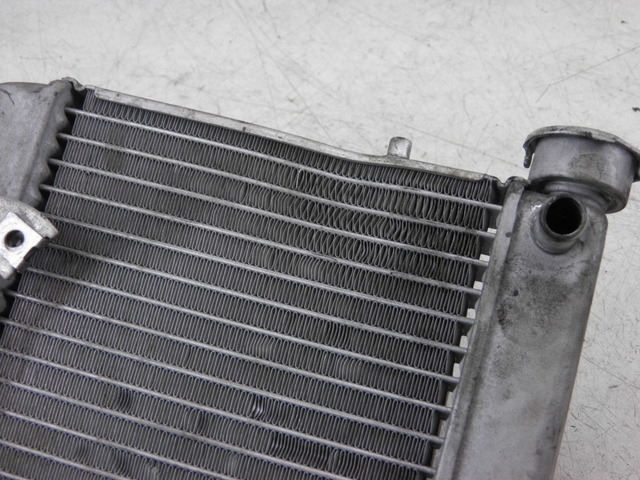 photo de RADIATOR HONDA FES S-WING SWING ABS 125 (2007 - 2015)