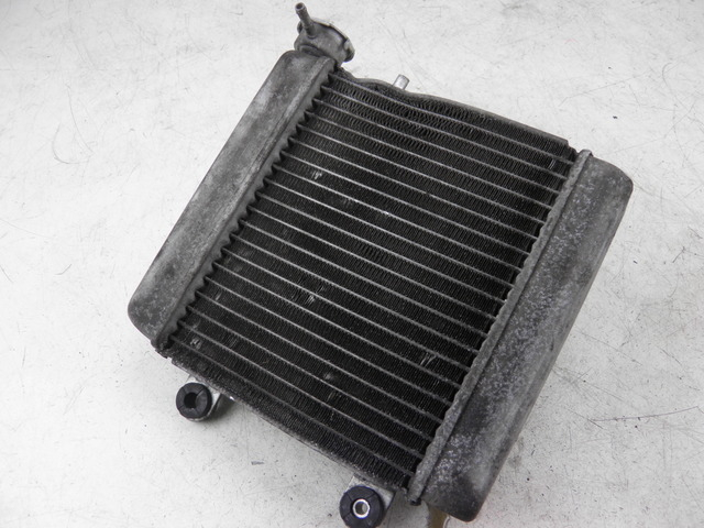 photo de RADIATOR HONDA FES S-WING SWING ABS 125 (2007 - 2015)