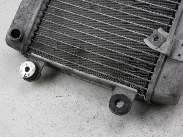 photo de RADIATOR HONDA FES S-WING SWING ABS 125 (2007 - 2015)