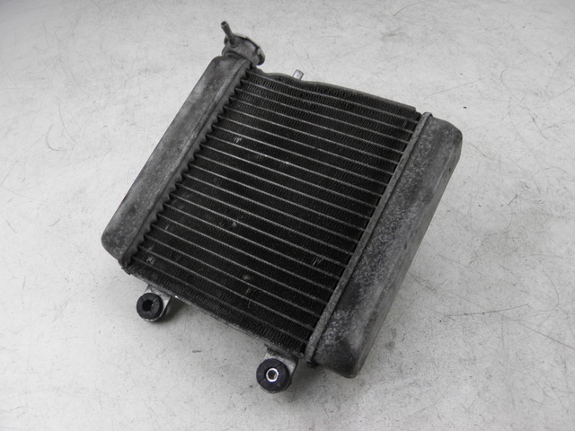 photo de RADIATOR HONDA FES S-WING SWING ABS 125 (2007 - 2015)