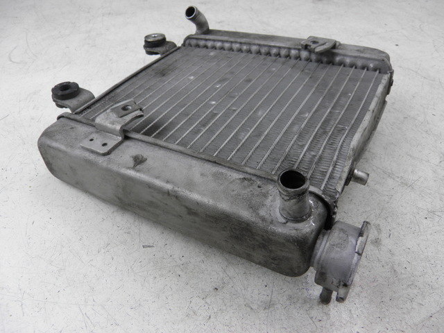 photo de RADIATOR HONDA FES S-WING SWING ABS 125 (2007 - 2015)