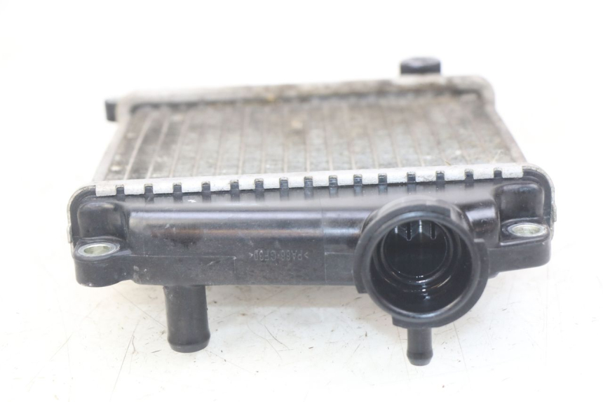 photo de RADIATOR HONDA NHX LEAD 110 (2008 - 2010)