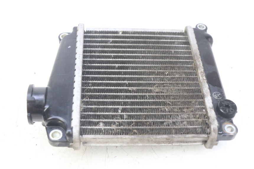 photo de RADIATOR HONDA NHX LEAD 110 (2008 - 2010)