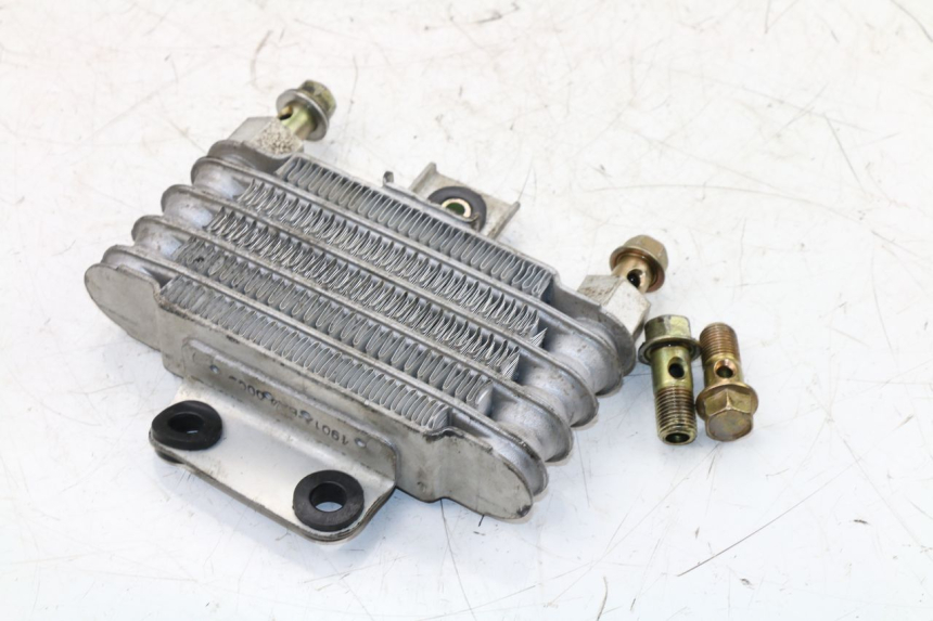 photo de OIL RADIATOR DAELIM VJ ROADWIN 125 (2004 - 2007)