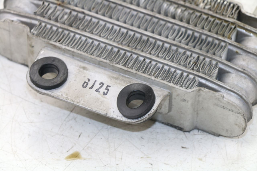 photo de OIL RADIATOR DAELIM VJ ROADWIN 125 (2004 - 2007)