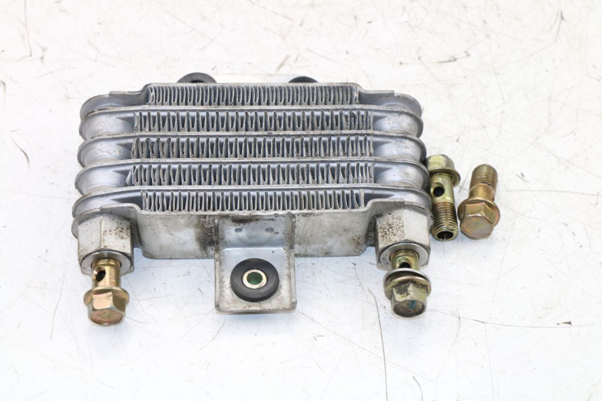 photo de OIL RADIATOR DAELIM VJ ROADWIN 125 (2004 - 2007)