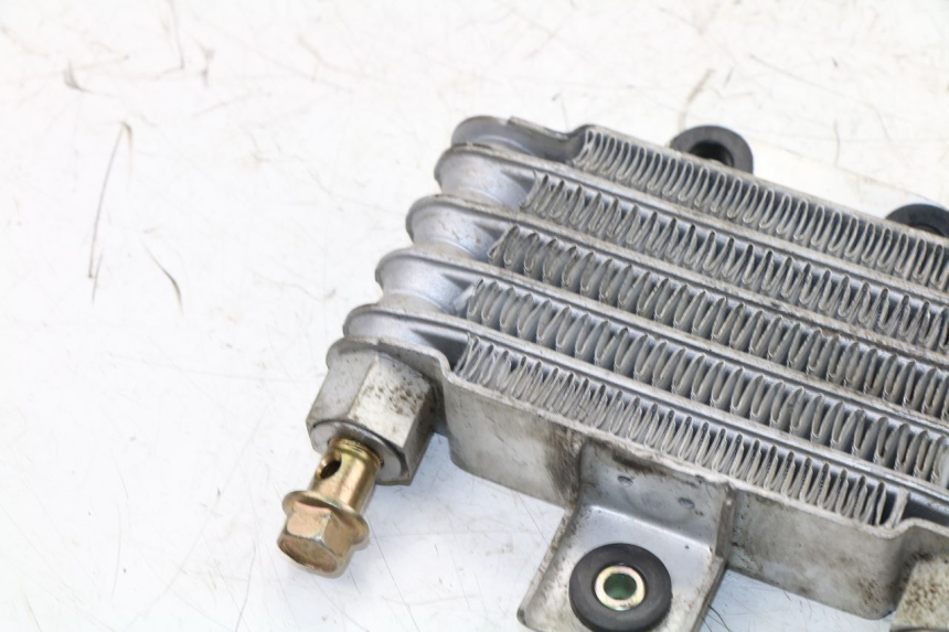 photo de OIL RADIATOR DAELIM VJ ROADWIN 125 (2004 - 2007)