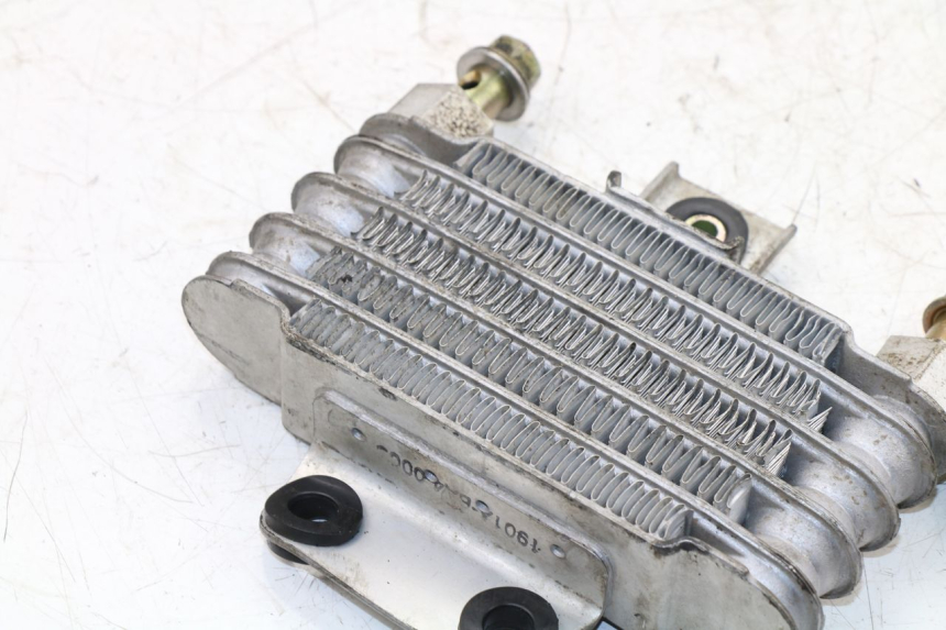 photo de OIL RADIATOR DAELIM VJ ROADWIN 125 (2004 - 2007)