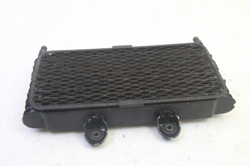 photo de OIL RADIATOR SUZUKI GSF N BANDIT 600 (1996 - 1999) - Zoom on usage condition