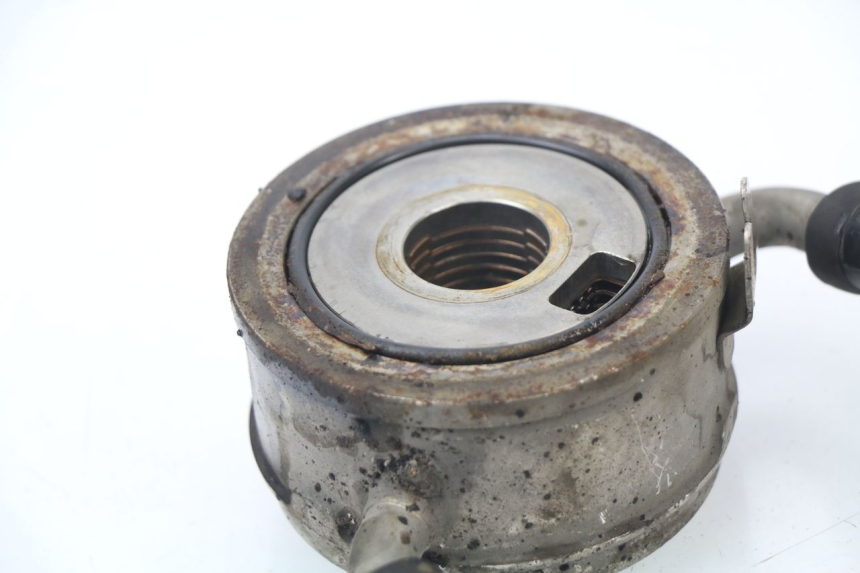 photo de OIL RADIATOR HONDA CBR 929 RR FIREBLADE 900 (2000 - 2001)