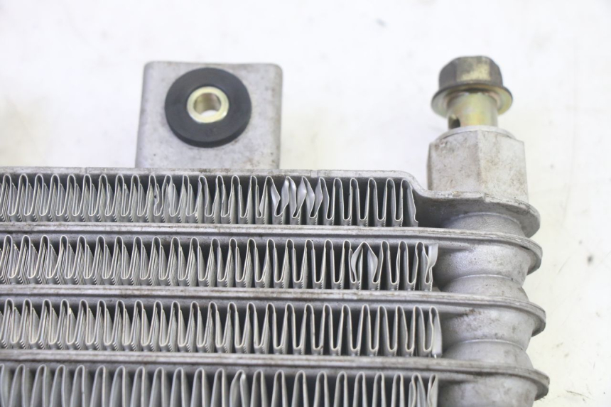 photo de OIL RADIATOR DAELIM S1 125 (2007 - 2016) - Product overview