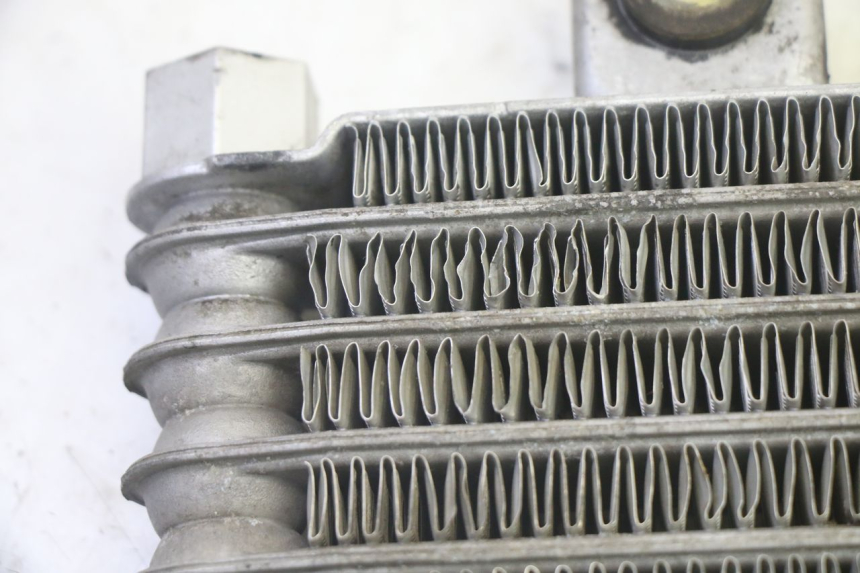 photo de OIL COOLER DAELIM VJ ROADWIN FI 125 (2008 - 2017) - Zoom on usage condition