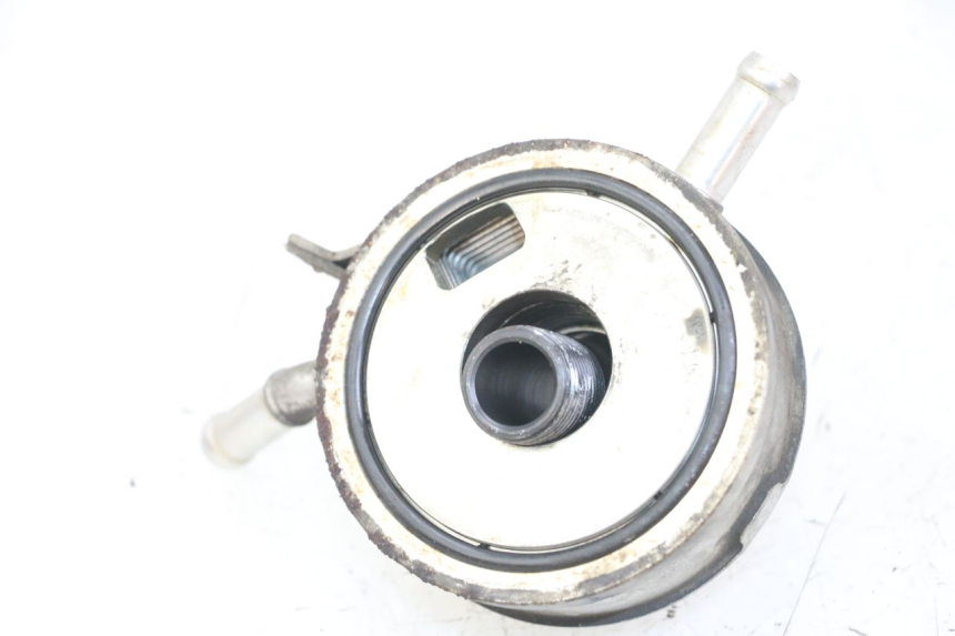 photo de OIL RADIATOR YAMAHA FZS FAZER 600 (2001 - 2003)