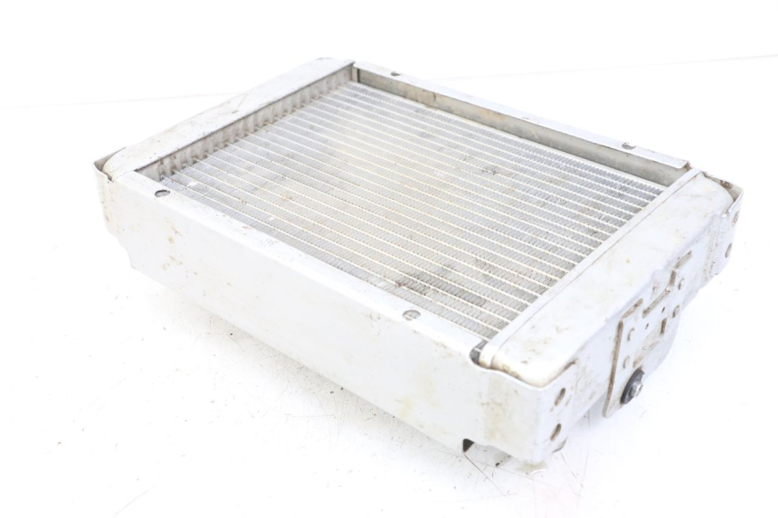 photo de COOLANT RADIATOR HYTRACK HY S 4X4 410 (2013 - 2016)