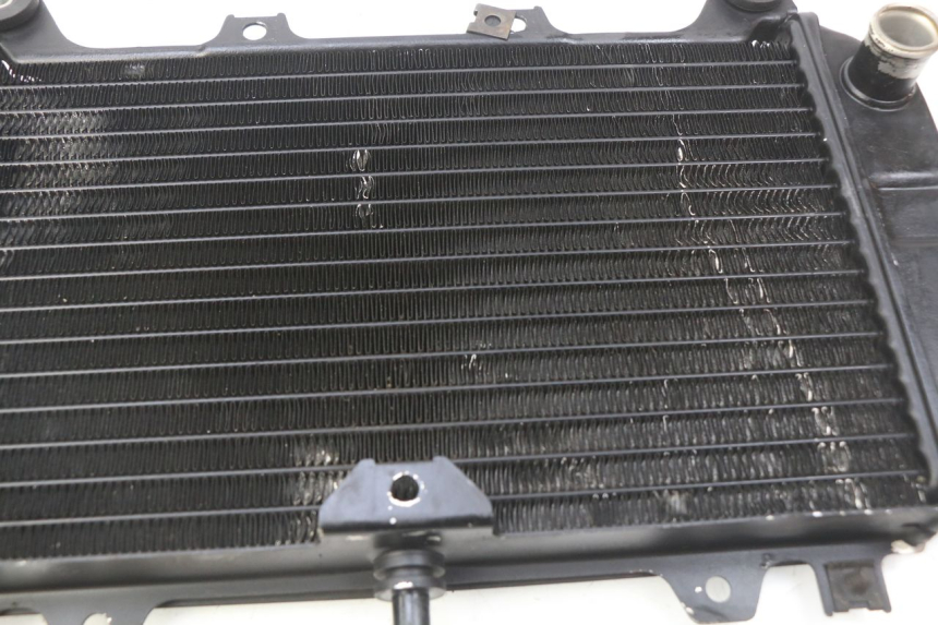 photo de RADIATOR KAWASAKI ZZR 600 (1995 - 2004)