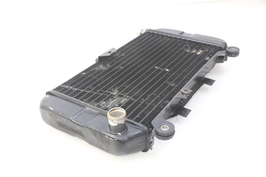 photo de RADIATOR KAWASAKI ZZR 600 (1995 - 2004)