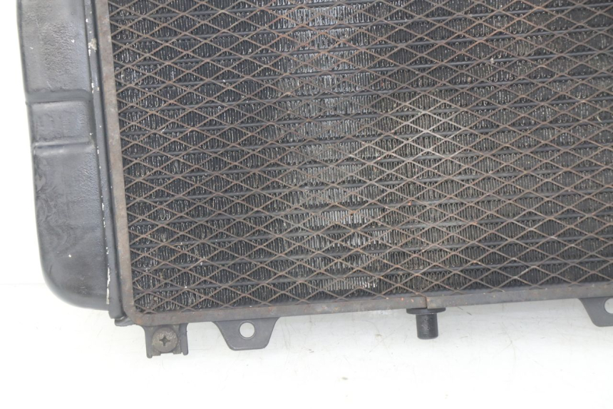 photo de RADIATOR KAWASAKI ZZR 600 (1995 - 2004)