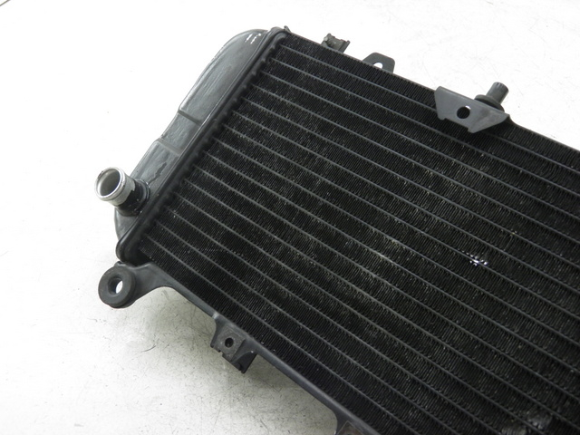 photo de RADIATOR KAWASAKI ZZR 600 (1995 - 2004)