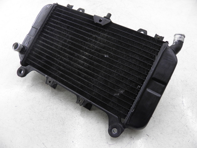photo de RADIATOR KAWASAKI ZZR 600 (1995 - 2004)