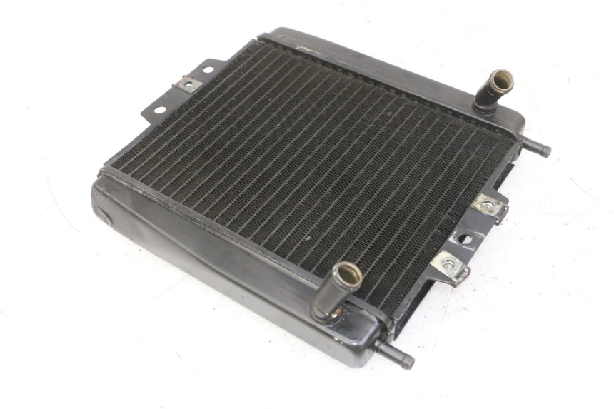 photo de RADIATOR PIAGGIO MP3 LT 300 (2010 - 2016)
