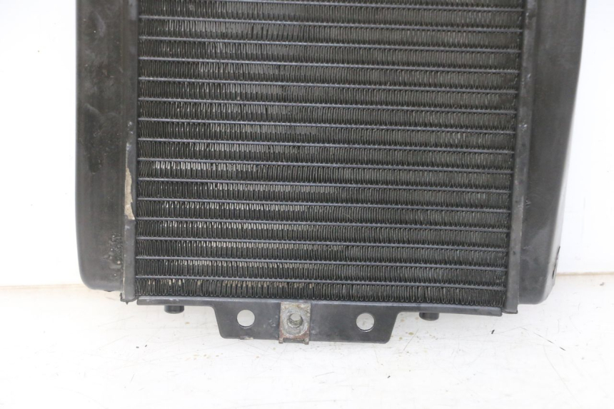 photo de RADIATOR PIAGGIO MP3 LT 300 (2010 - 2016)