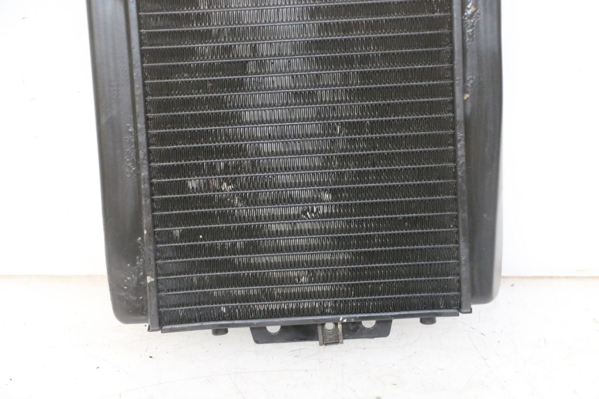 photo de RADIATOR PIAGGIO MP3 LT 300 (2010 - 2016)