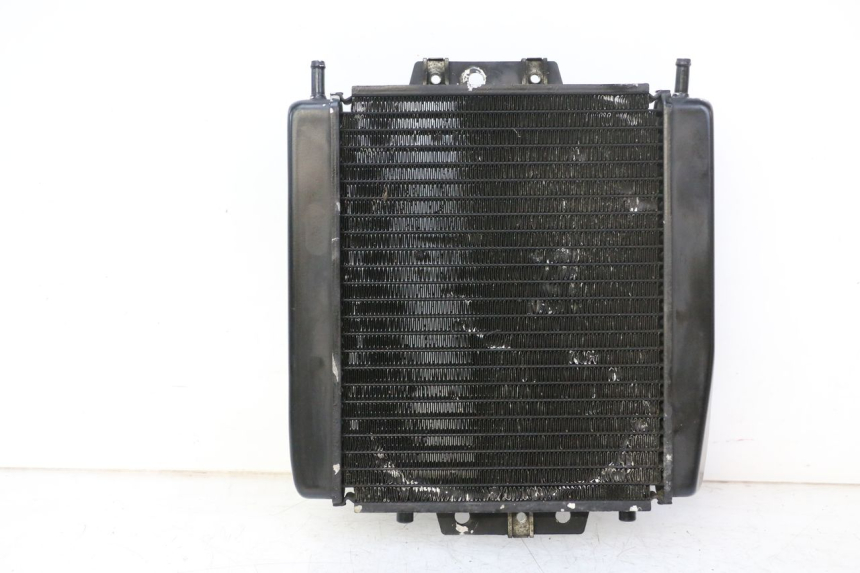 photo de COOLANT RADIATOR PIAGGIO MP3 RL 250 (2007 - 2010)