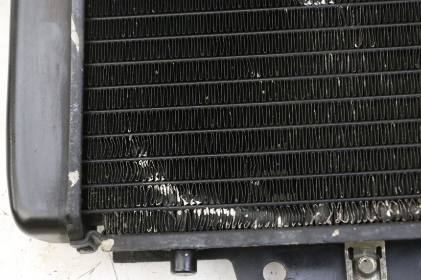 photo de COOLANT RADIATOR PIAGGIO MP3 RL 250 (2007 - 2010)