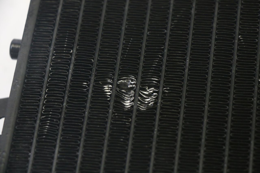 photo de COOLANT RADIATOR PIAGGIO MP3 RL 250 (2006 - 2010) - Component detail