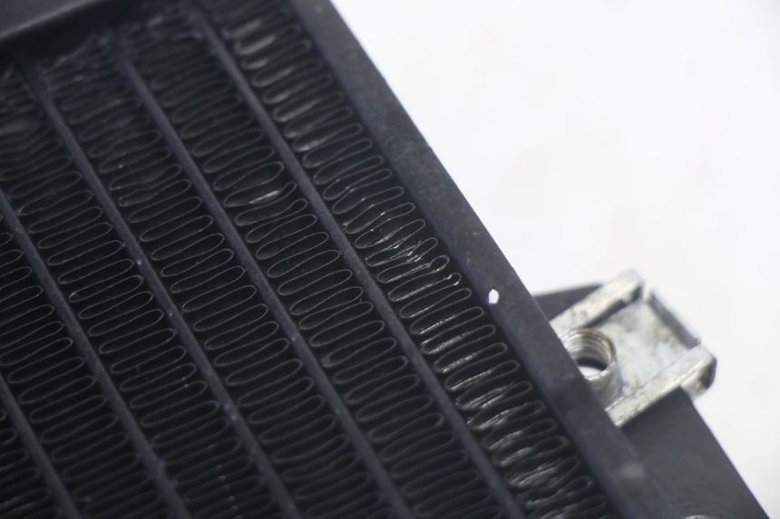photo de COOLANT RADIATOR PIAGGIO MP3 RL 250 (2006 - 2010) - Alternative perspective