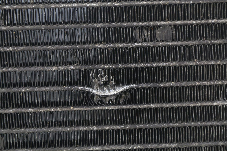 photo de RADIATOR GILERA NEXUS 125 (2009 - 2013)