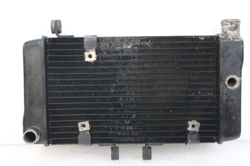 photo de RADIATOR HONDA NTV DEAUVILLE 650 (1998 - 2001)