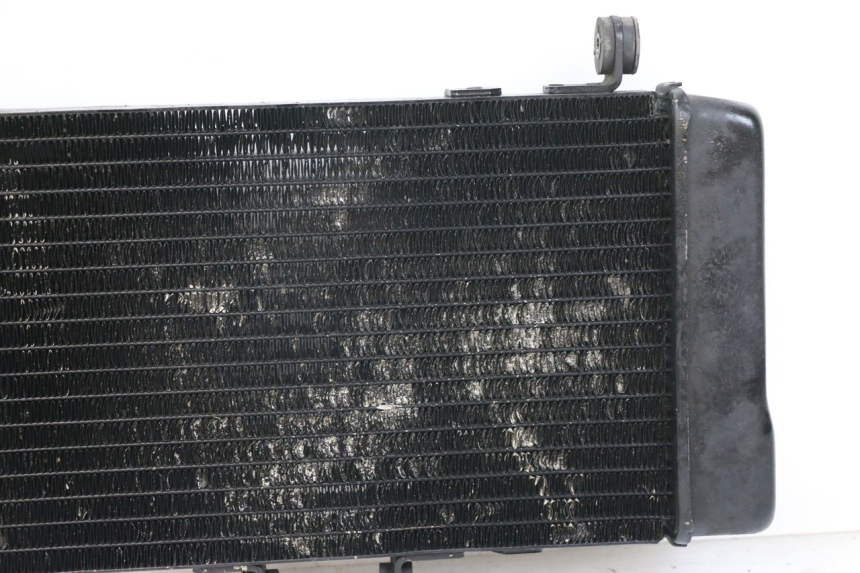 photo de RADIATOR HONDA NTV DEAUVILLE 650 (1998 - 2001)