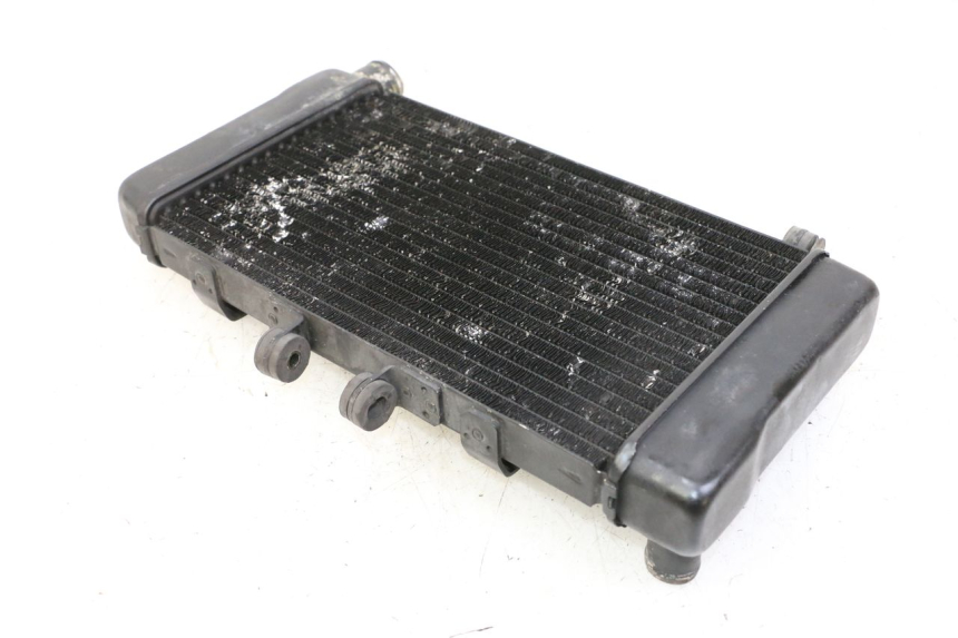 photo de COOLANT RADIATOR HONDA NTV DEAUVILLE 650 (2001 - 2006)