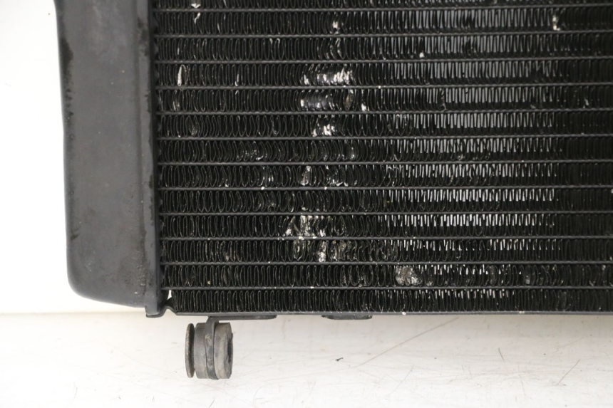 photo de COOLANT RADIATOR HONDA NTV DEAUVILLE 650 (2001 - 2006)