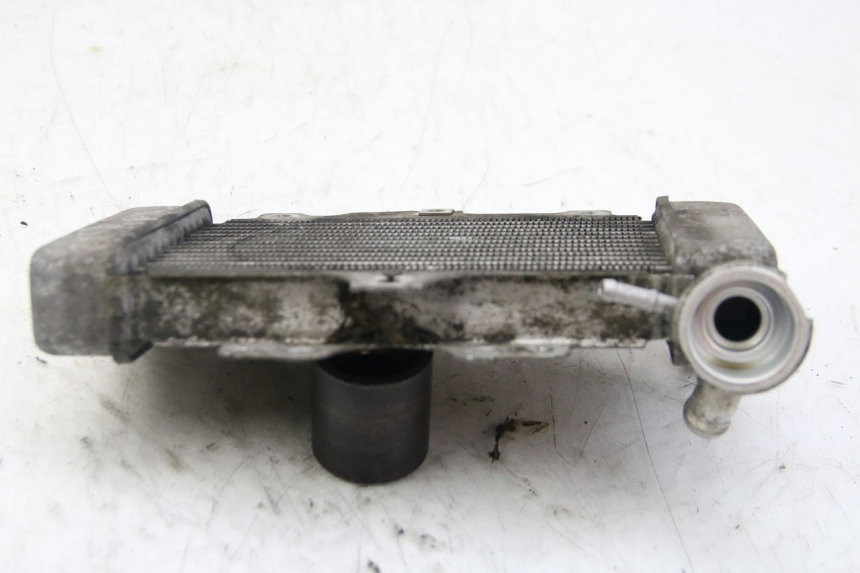 photo de RADIATOR HONDA PES PS I 125 (2006 - 2012)