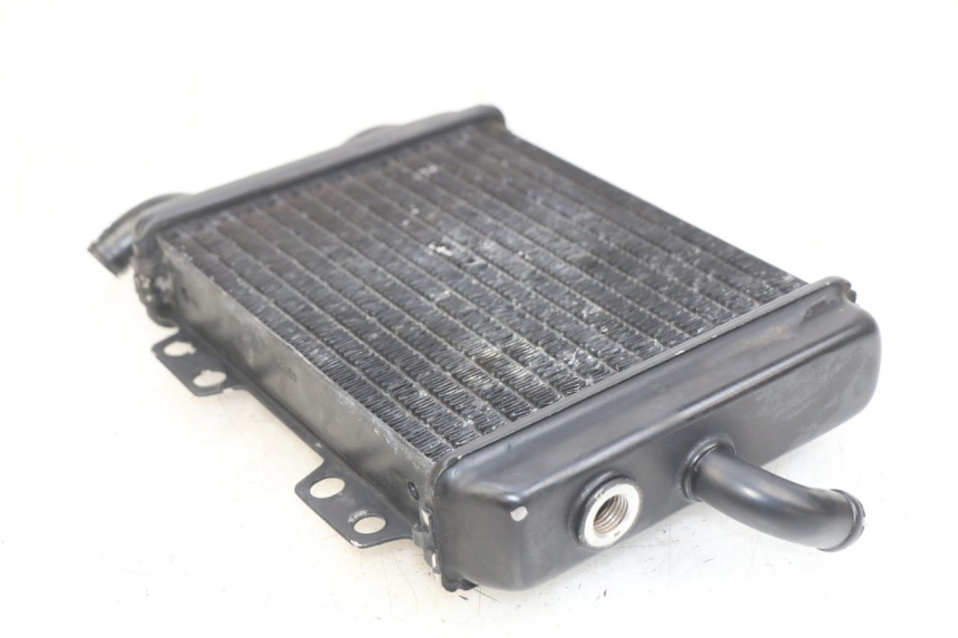 photo de RADIATOR PEUGEOT ELYSEO 125 (1999 - 2004)