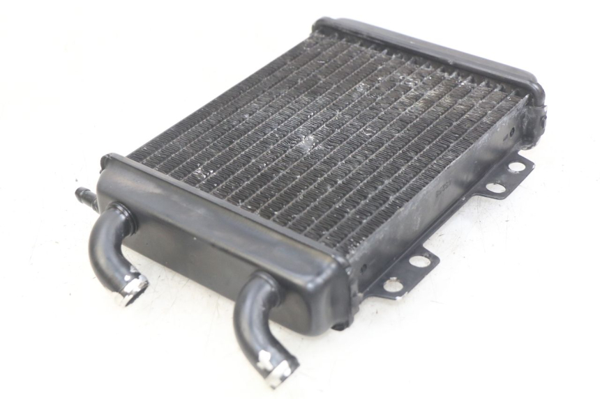 photo de RADIATOR PEUGEOT ELYSEO 125 (1999 - 2004)