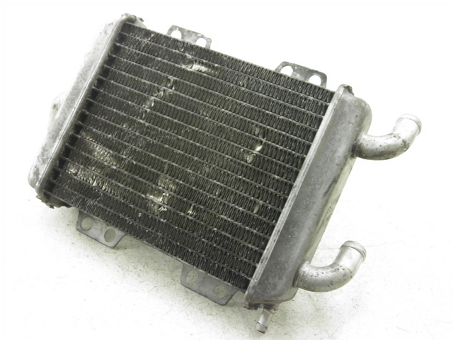 photo de RADIATOR PEUGEOT ELYSEO 125 (1999 - 2004)