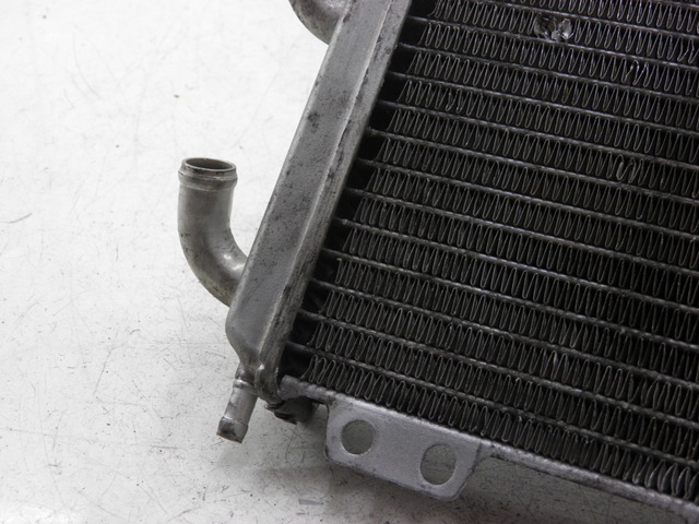 photo de RADIATOR PEUGEOT ELYSEO 125 (1999 - 2004)