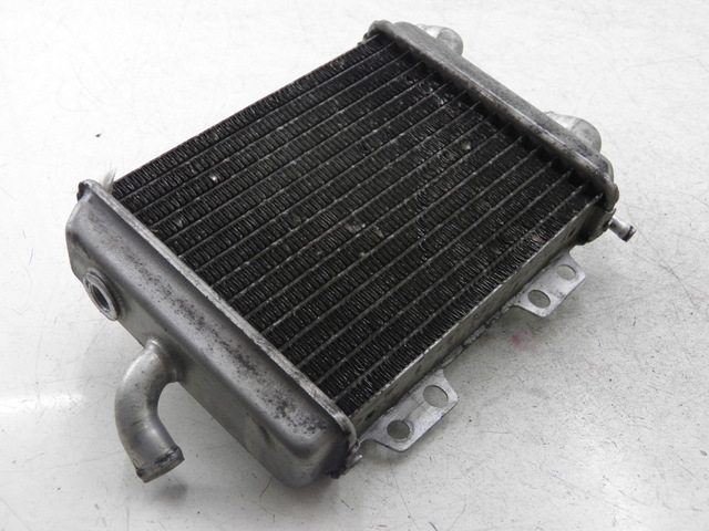 photo de RADIATOR PEUGEOT ELYSEO 125 (1999 - 2004)