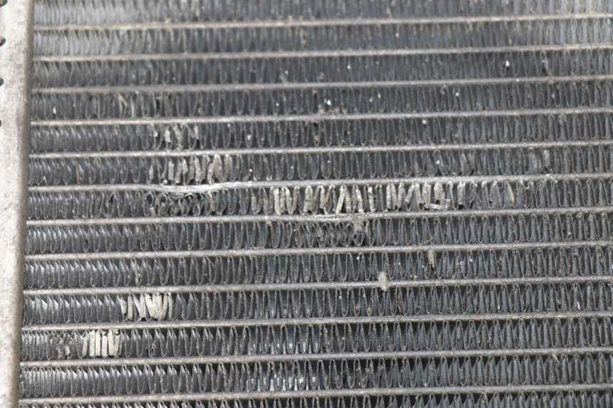 photo de RADIATOR PEUGEOT SATELIS 125 (2006 - 2009)