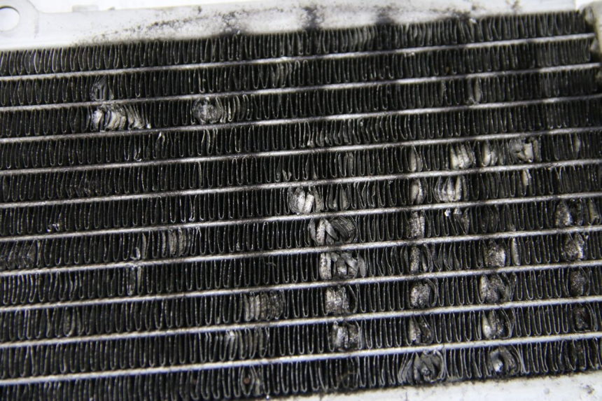 photo de RADIATOR PIAGGIO VESPA GRANTURISMO 125 (2003 - 2007)