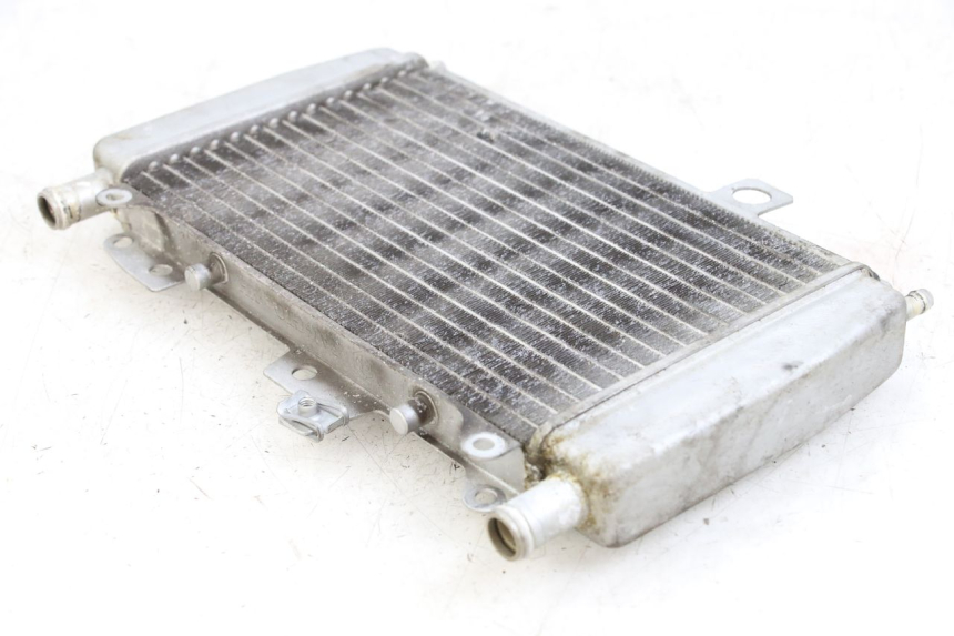 photo de RADIATOR PIAGGIO X10 125 (2012 - 2017)