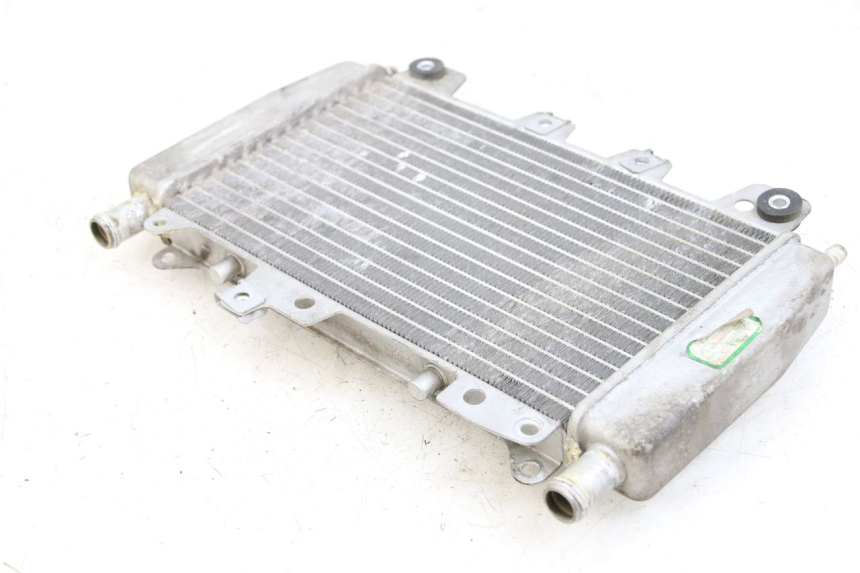 photo de RADIATOR PIAGGIO X10 125 (2012 - 2017)